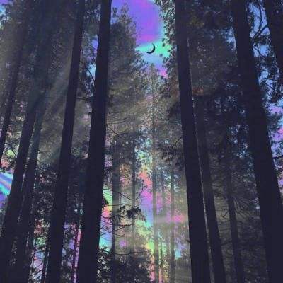 ayx爱游戏app下载