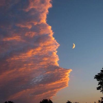 1788网投手机app下载