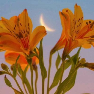 一分钟pk10赛车App